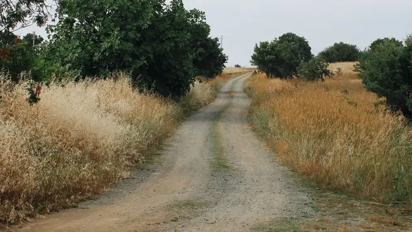 Quiet country lane through Berkshire fields, contact R.C. Smallbone Funeral Directors Newbury