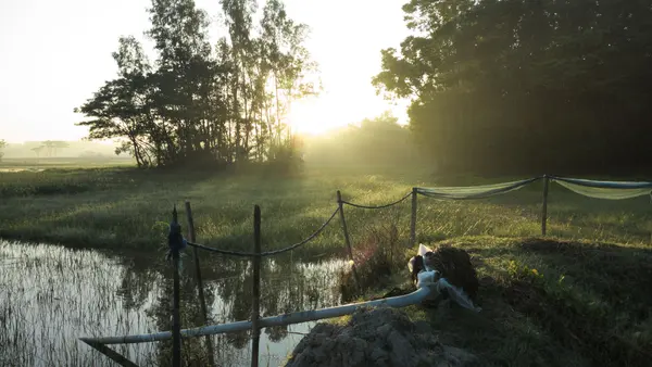 Still water and trees at first light in the Berkshire countryside, R.C. Smallbone Funeral Directors Newbury