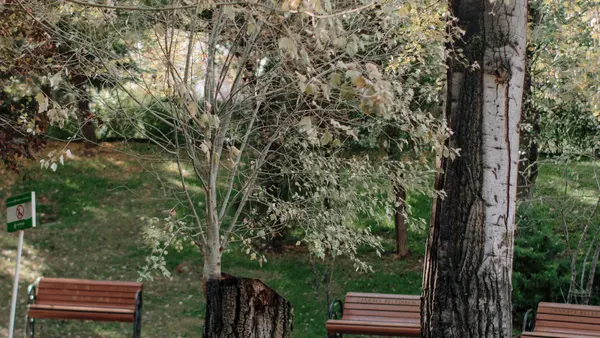 Quiet benches beneath trees in a Berkshire park, R.C. Smallbone Funeral Directors Newbury